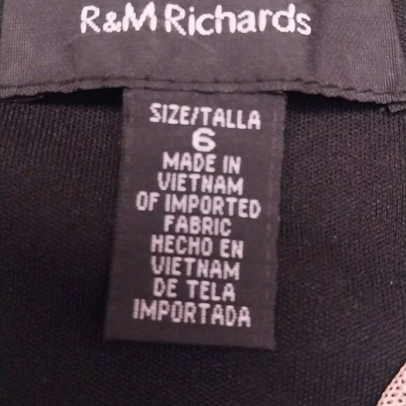 NWT R&M RICHARDS Embroidered Sequin Dress Size 6 - Picture 7 of 12